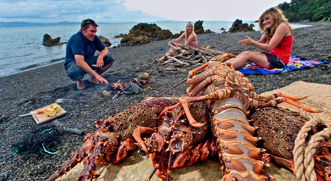 Image courtesy of Tourism Coromandel