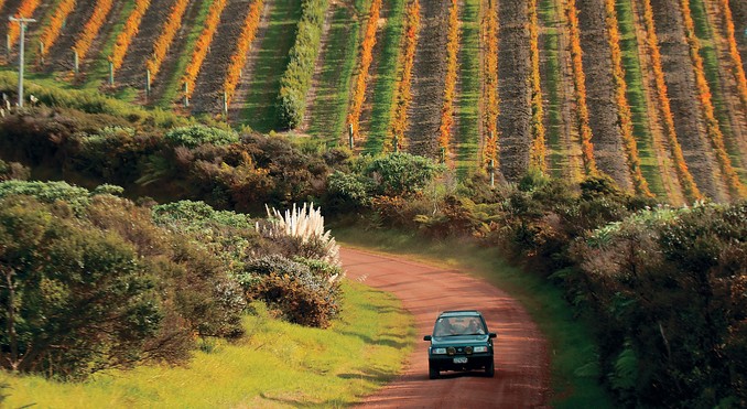 Image courtesy of Tourism New Zealand