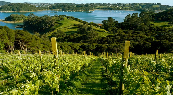 Image courtesy of Tourism New Zealand