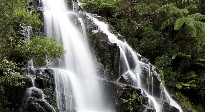 Image courtesy of Tourism New Zealand