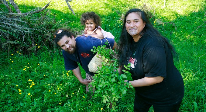 Image courtesy of Tourism New Zealand