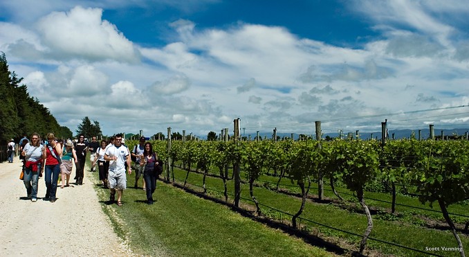 Image courtesy of Tourism New Zealand