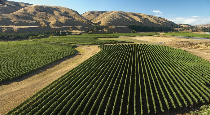 Image courtesy of Tourism New Zealand