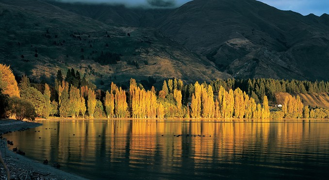 Image courtesy of Tourism New Zealand