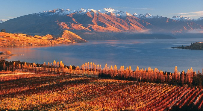 Wanaka