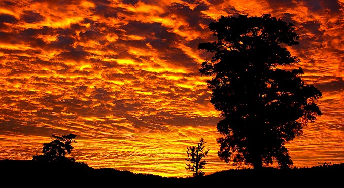 Image courtesy of Tourism West Coast