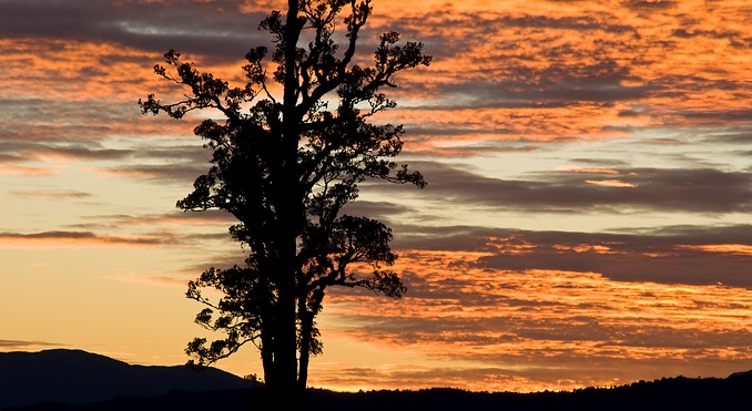 Image courtesy of Tourism West Coast