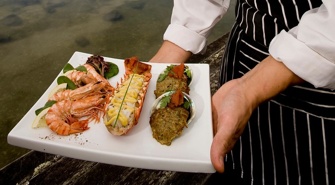 Image courtesy of Tourism Coromandel