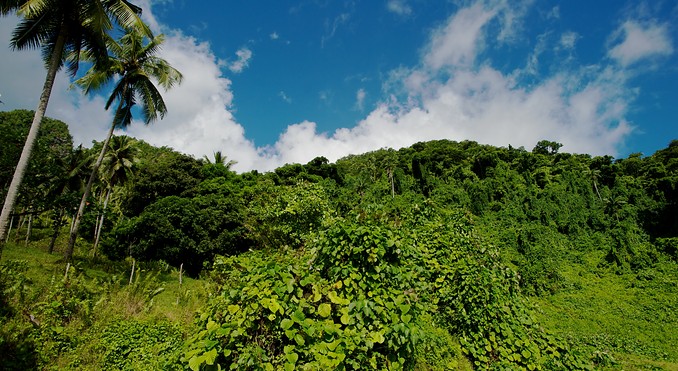 Image courtesy of Tourism Media