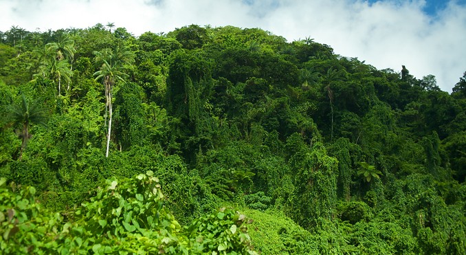 Image courtesy of Tourism Media