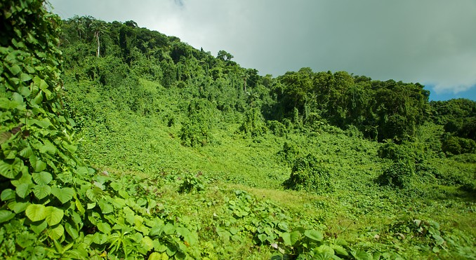 Image courtesy of Tourism Media