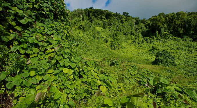 Image courtesy of Tourism Media