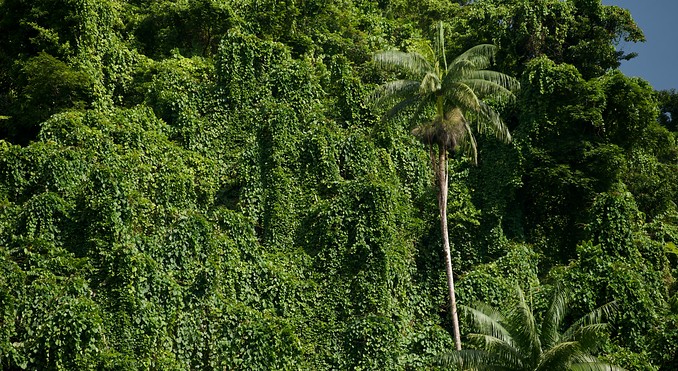 Image courtesy of Tourism Media