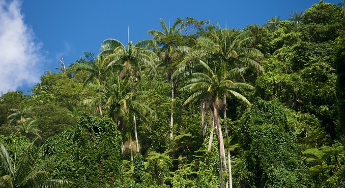 Image courtesy of Tourism Media
