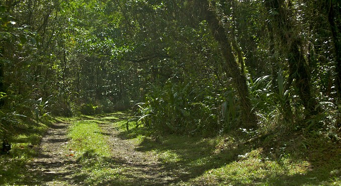 Image courtesy of Tourism Media
