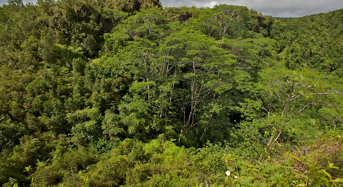 Image courtesy of Tourism Media