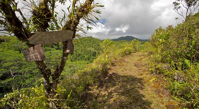 Image courtesy of Tourism Media