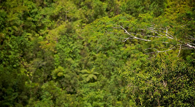 Image courtesy of Tourism Media
