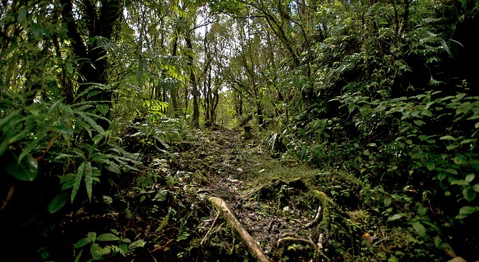 Image courtesy of Tourism Media