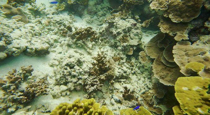 Image courtesy of Tourism Media