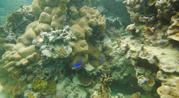 Image courtesy of Tourism Media
