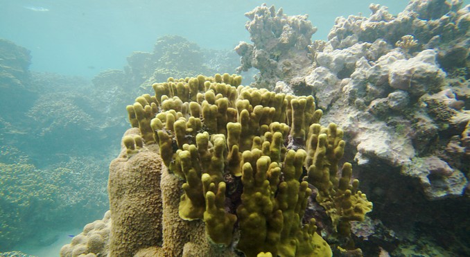 Image courtesy of Tourism Media