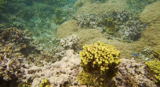 Image courtesy of Tourism Media