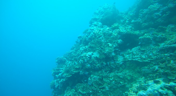 Image courtesy of Tourism Media