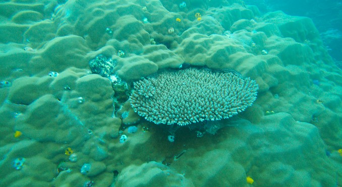 Image courtesy of Tourism Media