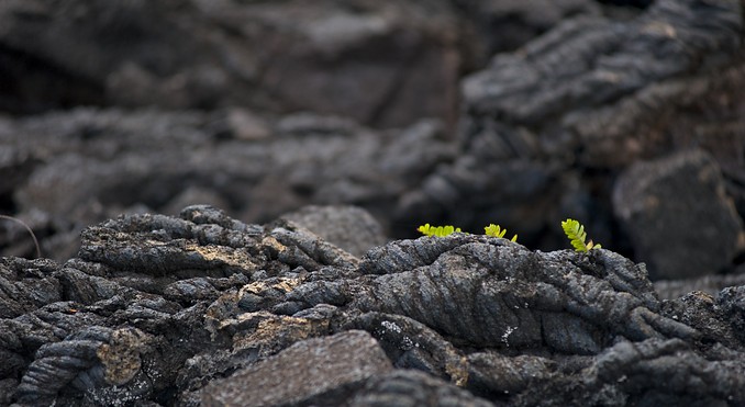 Image courtesy of Tourism Media