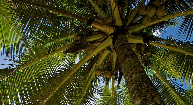 Image courtesy of Tourism Media
