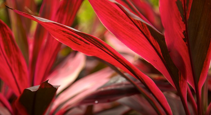 Image courtesy of Tourism Media