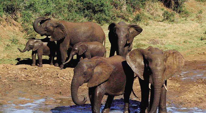 Image courtesy of Tourism South Africa