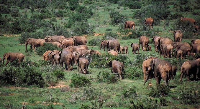 Image courtesy of Tourism South Africa