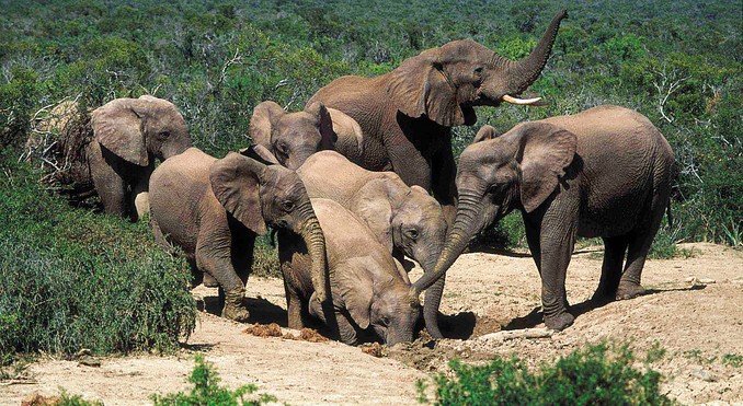 Image courtesy of Tourism South Africa