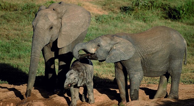 Image courtesy of Tourism South Africa
