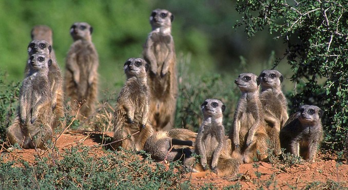 Image courtesy of Tourism South Africa
