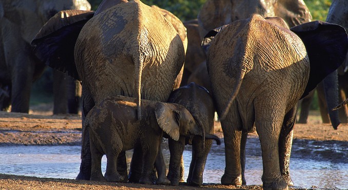 Image courtesy of Tourism South Africa
