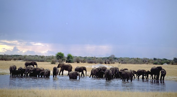 Image courtesy of Tourism South Africa