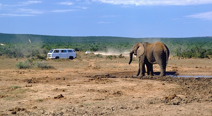Image courtesy of Tourism South Africa
