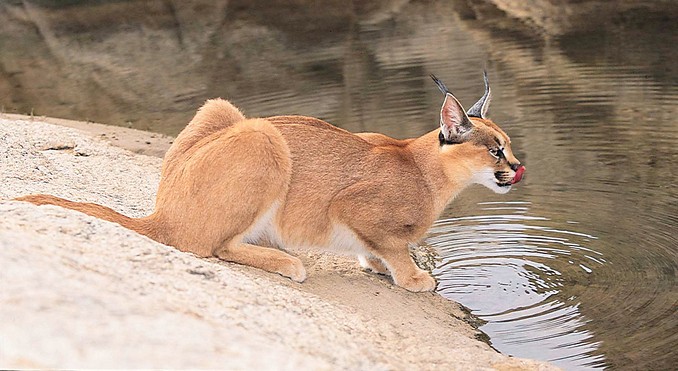 Image courtesy of Tourism South Africa