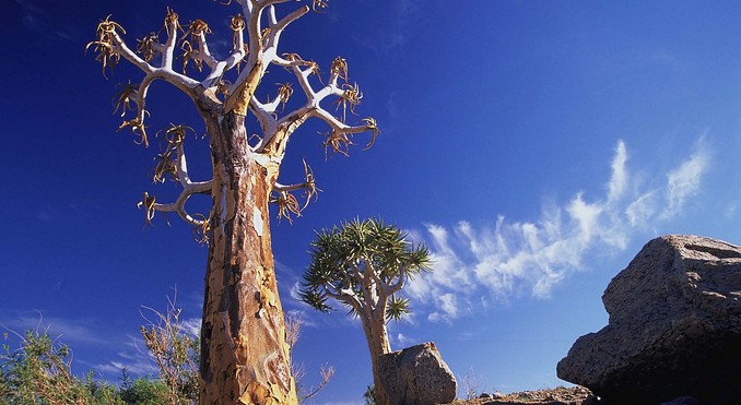 Image courtesy of Tourism South Africa