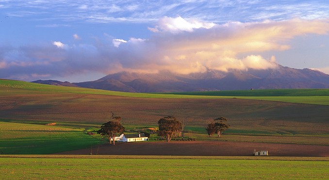 Caledon