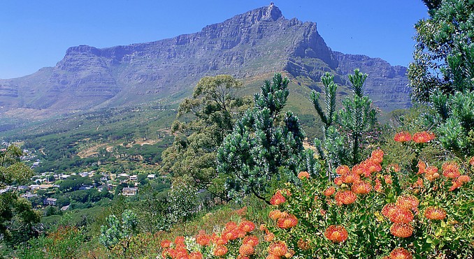 Cape Town