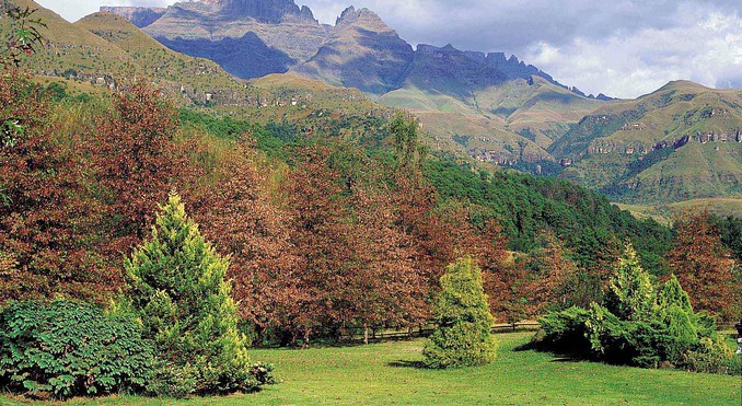 Image courtesy of Tourism South Africa