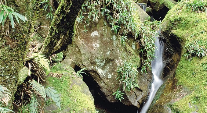 Image courtesy of Tourism South Africa