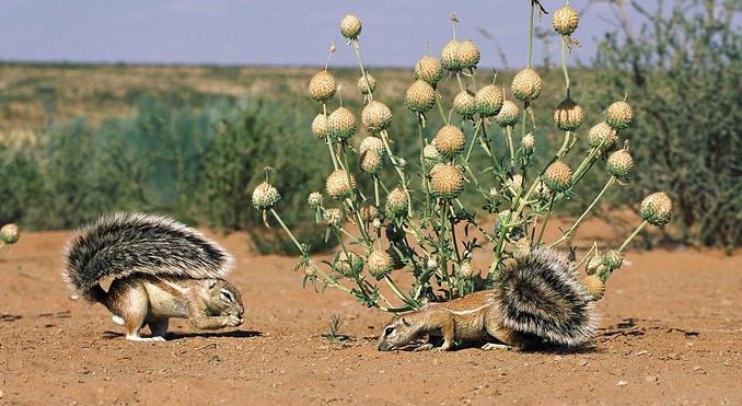 Image courtesy of Tourism South Africa
