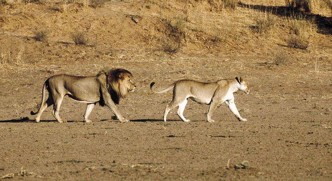 Image courtesy of Tourism South Africa