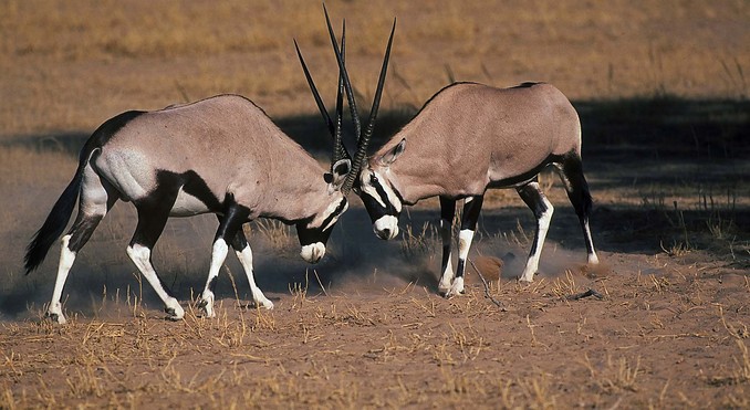 Image courtesy of Tourism South Africa