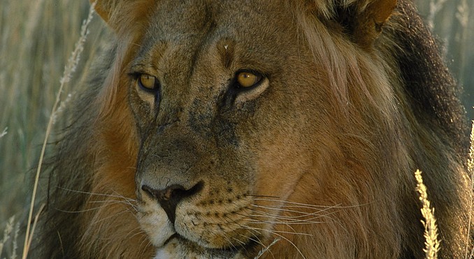 Image courtesy of Tourism South Africa